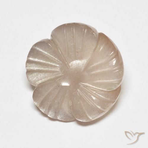 5.53ct Natural Marrom Caramelo Claro Pedra da Lua, Flor cortada, Translúcido