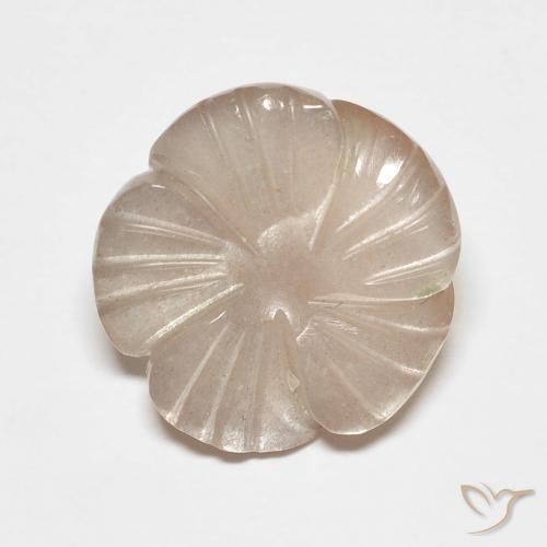 Pedra da Lua Marrom Caramelo Claro Natural 5.53ct, Flor cortada, Translúcido