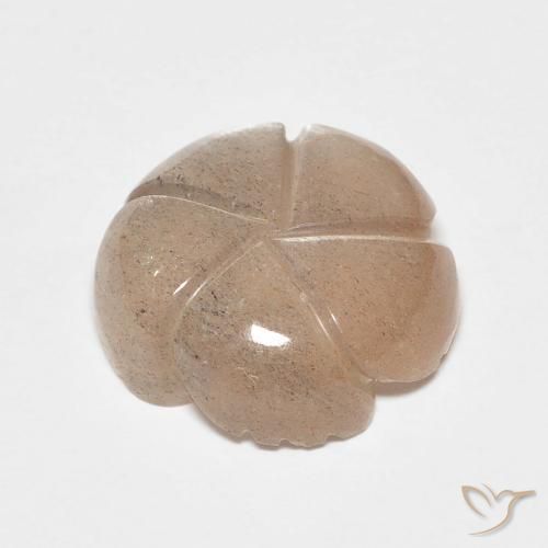 Pedra da Lua Marrom Caramelo Claro Natural 5.53ct, Flor cortada, Translúcido