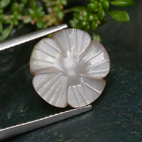 Pedra da lua marrom natural 5,29ct, corte flor, translúcido