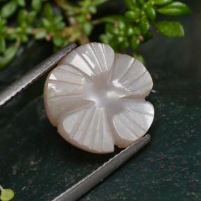 Pedra da lua marrom natural 5,29ct, corte flor, translúcido