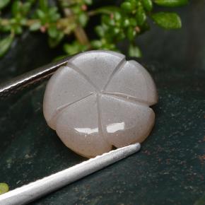 Pedra da lua marrom natural 5,29ct, corte flor, translúcido