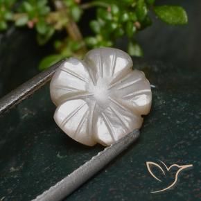 Pedra da Lua Castanho muito claro Natural 3.25ct, Flor cortada, Translúcido