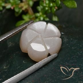 Pedra da Lua Castanho muito claro Natural 3.25ct, Flor cortada, Translúcido