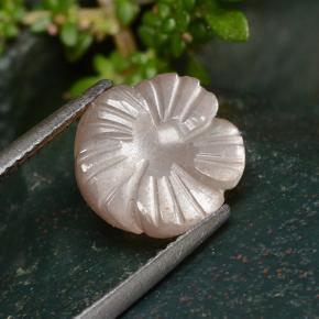 Pedra da lua laranja natural 4,01ct, corte flor, translúcido