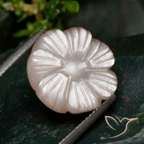 Pedra da Lua pêssego laranja Natural 7.28ct, Flor cortada, Translúcido