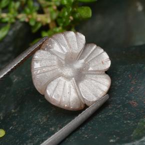 Pedra da lua laranja natural 6,41ct, corte flor, translúcido
