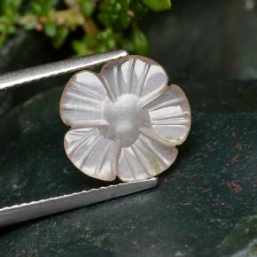 Pedra da Lua Laranja claro Natural 2.64ct, Flor cortada, Translúcido