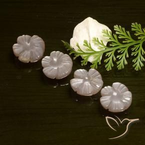 Pedras preciosas de Pedra da Lua pêssego laranja natural de 9.40 ct, Flor cortada, Translúcido