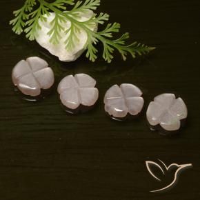 Pedras preciosas de Pedra da Lua Laranja claro natural de 4.23 ct, Flor cortada, Translúcido