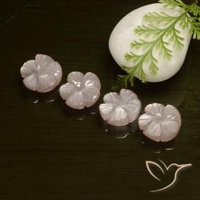 Pedras preciosas de Pedra da Lua pêssego laranja natural de 10.77 ct, Flor cortada, Translúcido