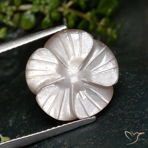 7.24ct Natural Rosa bem claro Pedra da Lua, Flor cortada, Translúcido