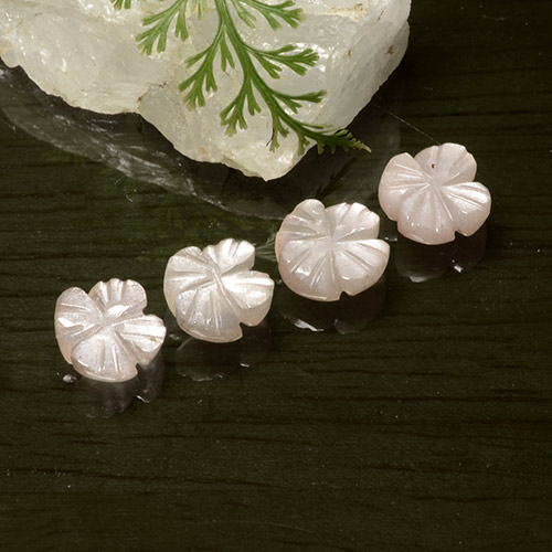 Pedras preciosas de Pedra da Lua Rosa bem claro natural de 5.06 ct, Flor cortada, Translúcido