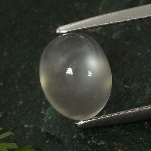 Pedra da lua cinza natural 3,50ct, corte oval, translúcido