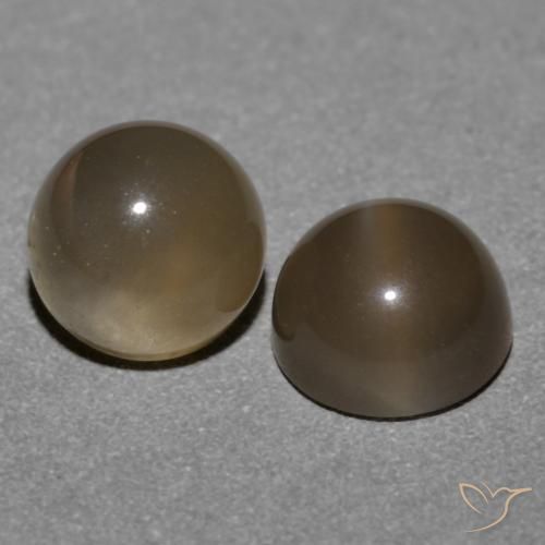 Pedras preciosas de Pedra da Lua Castanho médio natural de 1.21 ct, Redondo, Translúcido