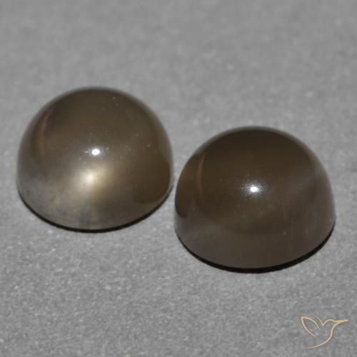 Pedras preciosas de Pedra da Lua Castanho médio natural de 1.21 ct, Redondo, Translúcido