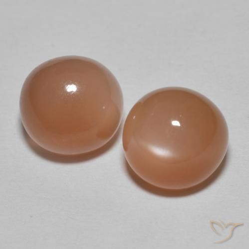 Pedras preciosas de Pedra da Lua Cidra de Laranja natural de 3.25 ct, Redondo, Translúcido