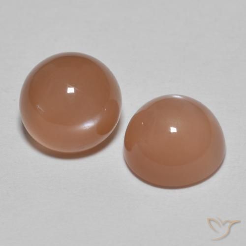 Pedras preciosas de Pedra da Lua Laranja Médio natural de 3.09 ct, Redondo, Translúcido