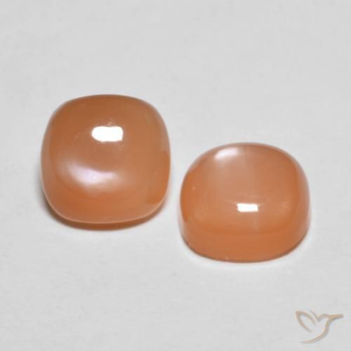 Pedras preciosas de Pedra da Lua Laranja Melão natural de 2.78 ct, Almofada, Translúcido