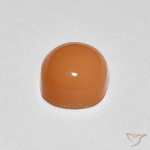Pedra da Lua Damasco Laranja Quente Natural 1.29ct, Almofada, Translúcido
