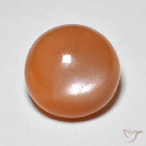 5.15ct Natural Damasco Laranja Quente Pedra da Lua, Redondo, Opaco