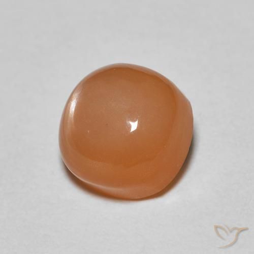 Pedra da Lua laranja avermelhado Natural 1.17ct, Almofada, Translúcido