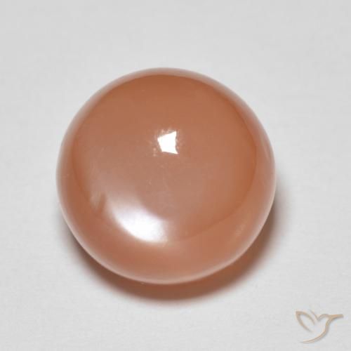 5.46ct Natural pêssego laranja Pedra da Lua, Redondo, Translúcido