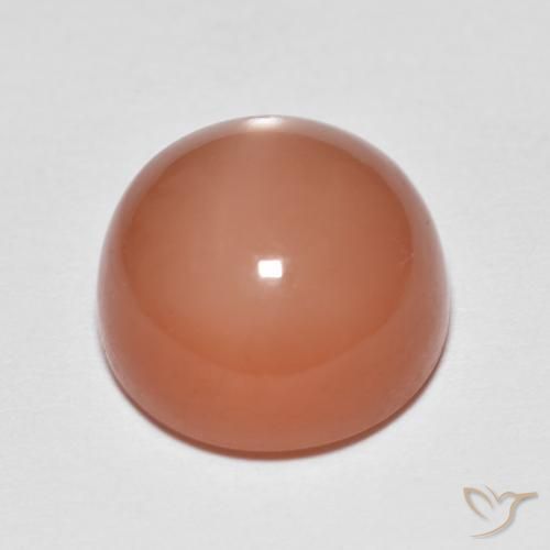 Pedra da Lua Laranja Avermelhado Claro Natural 6.51ct, Redondo, Translúcido