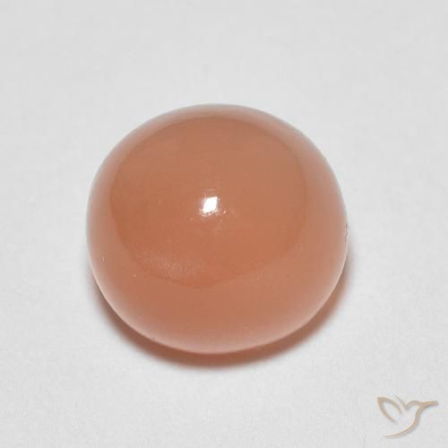 Pedra da Lua Laranja Médio Natural 1.23ct, Redondo, Translúcido