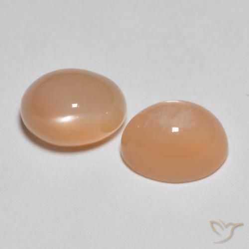 Pedras preciosas de Pedra da Lua Laranja Melão natural de 3.26 ct, oval, Translúcido