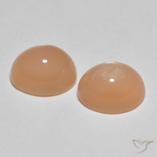 Pedras preciosas de Pedra da Lua Laranja Melão natural de 3.26 ct, oval, Translúcido