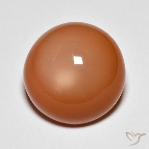 10.07ct Natural Laranja Médio Pedra da Lua, Redondo, Opaco