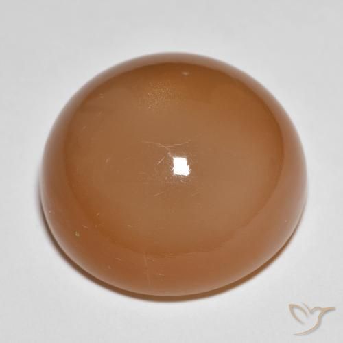 Pedra da Lua Castanho médio Natural 28.68ct, Redondo, Translúcido