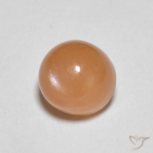 Pedra da Lua Damasco Laranja Quente Natural 1.22ct, Redondo, Translúcido
