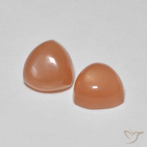 Pedras preciosas de Pedra da Lua Laranja Avermelhado Claro natural de 1.58 ct, Trilhão, Translúcido