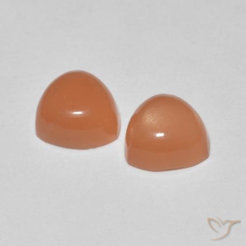Pedras preciosas de Pedra da Lua Laranja Avermelhado Claro natural de 1.58 ct, Trilhão, Translúcido