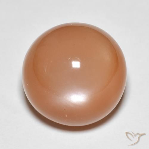 Pedra da lua laranja de 13,61 quilates, corte redondo de 14,1 mm da Índia, Photo A