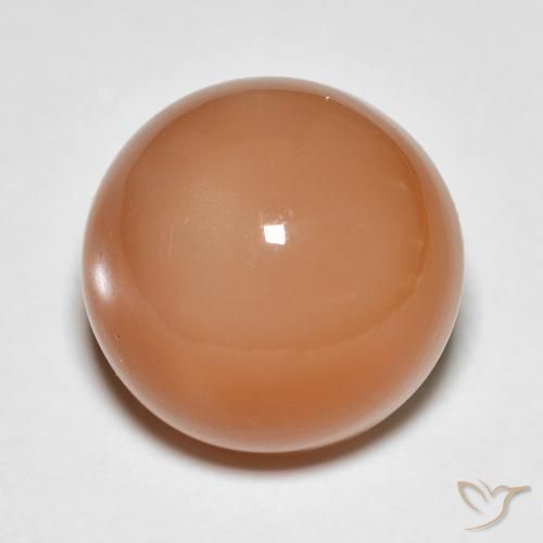 Pedra da Lua Laranja Melão Natural 13.61ct, Redondo, Translúcido