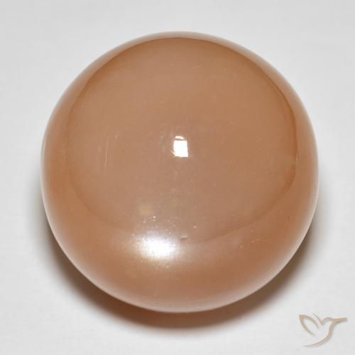 31.92ct Natural Laranja Melão Pedra da Lua, Redondo, Translúcido