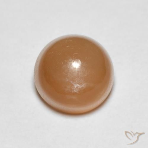 1.19ct Natural Laranja Melão Pedra da Lua, Redondo, Translúcido
