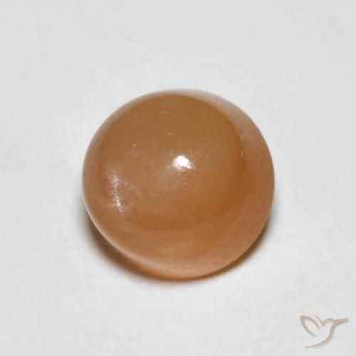 Pedra da Lua Laranja Melão Natural 1.19ct, Redondo, Translúcido