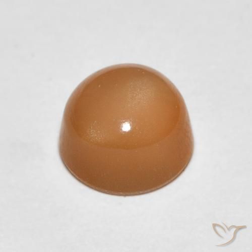 Pedra da Lua Laranja Melão Natural 1.19ct, Redondo, Translúcido