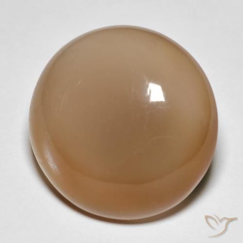 18.95ct Natural Laranja Melão Pedra da Lua, Redondo, Translúcido