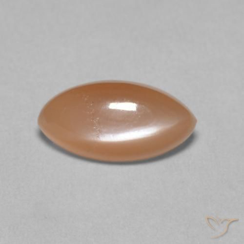 1.25ct Natural Laranja Melão Clara Pedra da Lua, Marquesa, Translúcido