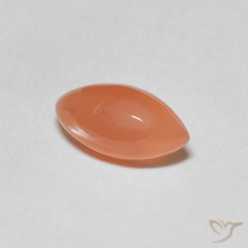 Pedra da Lua pêssego laranja Natural 1.12ct, Marquesa, Translúcido