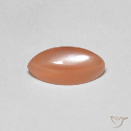 1.27ct Natural pêssego laranja Pedra da Lua, Marquesa, Translúcido