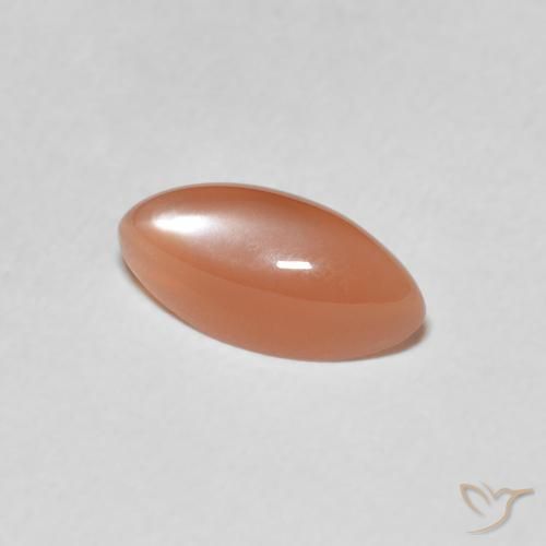 Pedra da Lua pêssego laranja Natural 1.27ct, Marquesa, Translúcido