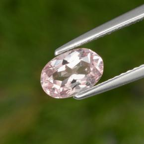 Morganita rosa natural 1,00ct, corte oval, VS