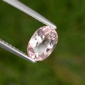 Morganita rosa natural 1,00ct, corte oval, VS
