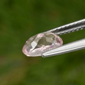 Morganita rosa natural 1,00ct, corte oval, VS